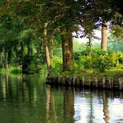 新乐动体育app下载官网截图