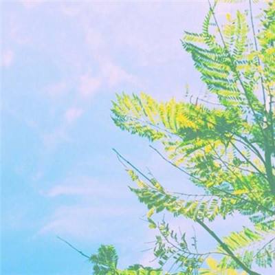 新乐动体育app下载官网